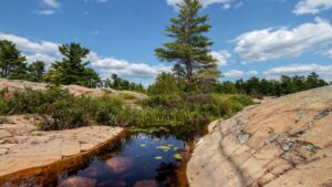 Canadian Wilderness